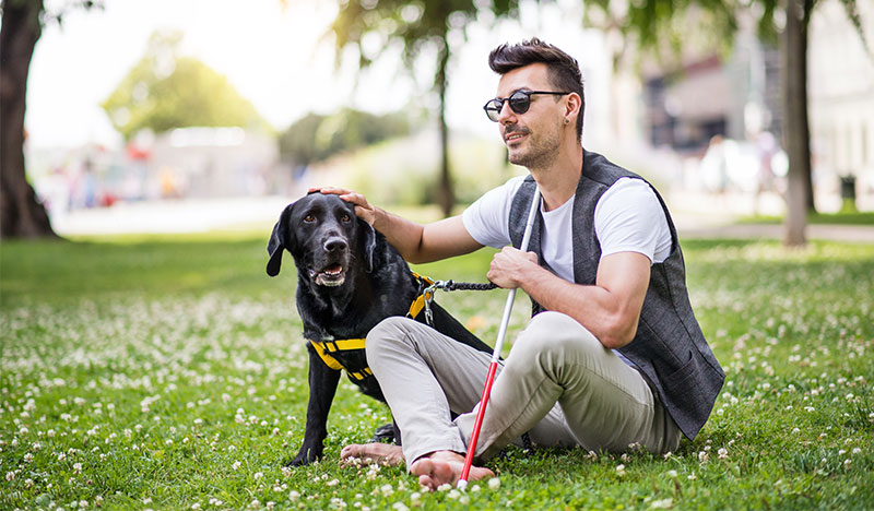 Assistenzhundetrainer Experten Suche 3