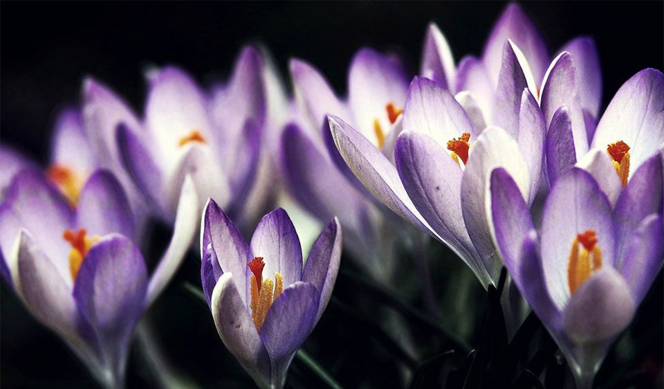 Übler Geruch im Katzenklo