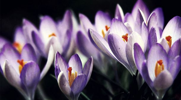 Übler Geruch im Katzenklo