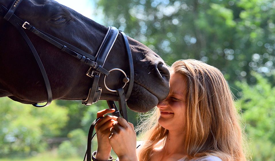 Emotionale Ansteckung zwischen Mensch und Pferd