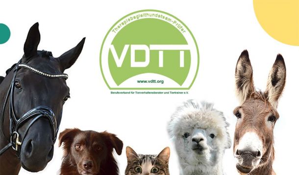 Event: Erfahrungsaustausch TGI-Prüfer