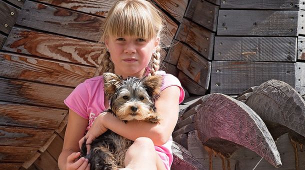 Tiergestützte Intervention mit Hund bei einem Mädchen