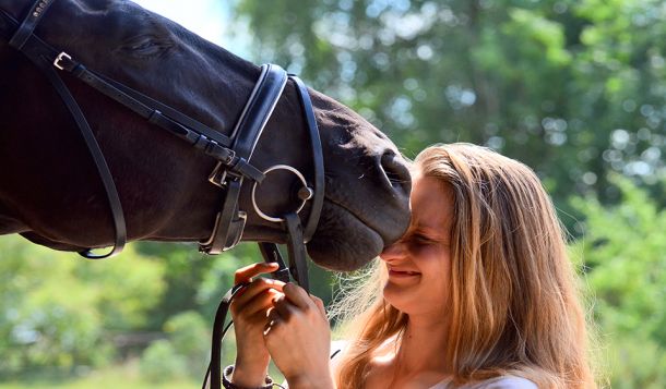 Emotionale Ansteckung zwischen Mensch und Pferd