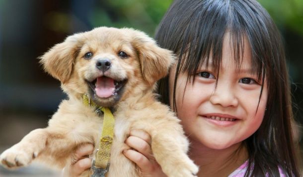 Webinar: "Hunde der Welt" - über kulturelle Unterschiede in der Hund-Mensch-Beziehung