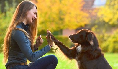 Webinar: Kundenpsychologie - Von der Akquise zum glücklichen Hundehalter