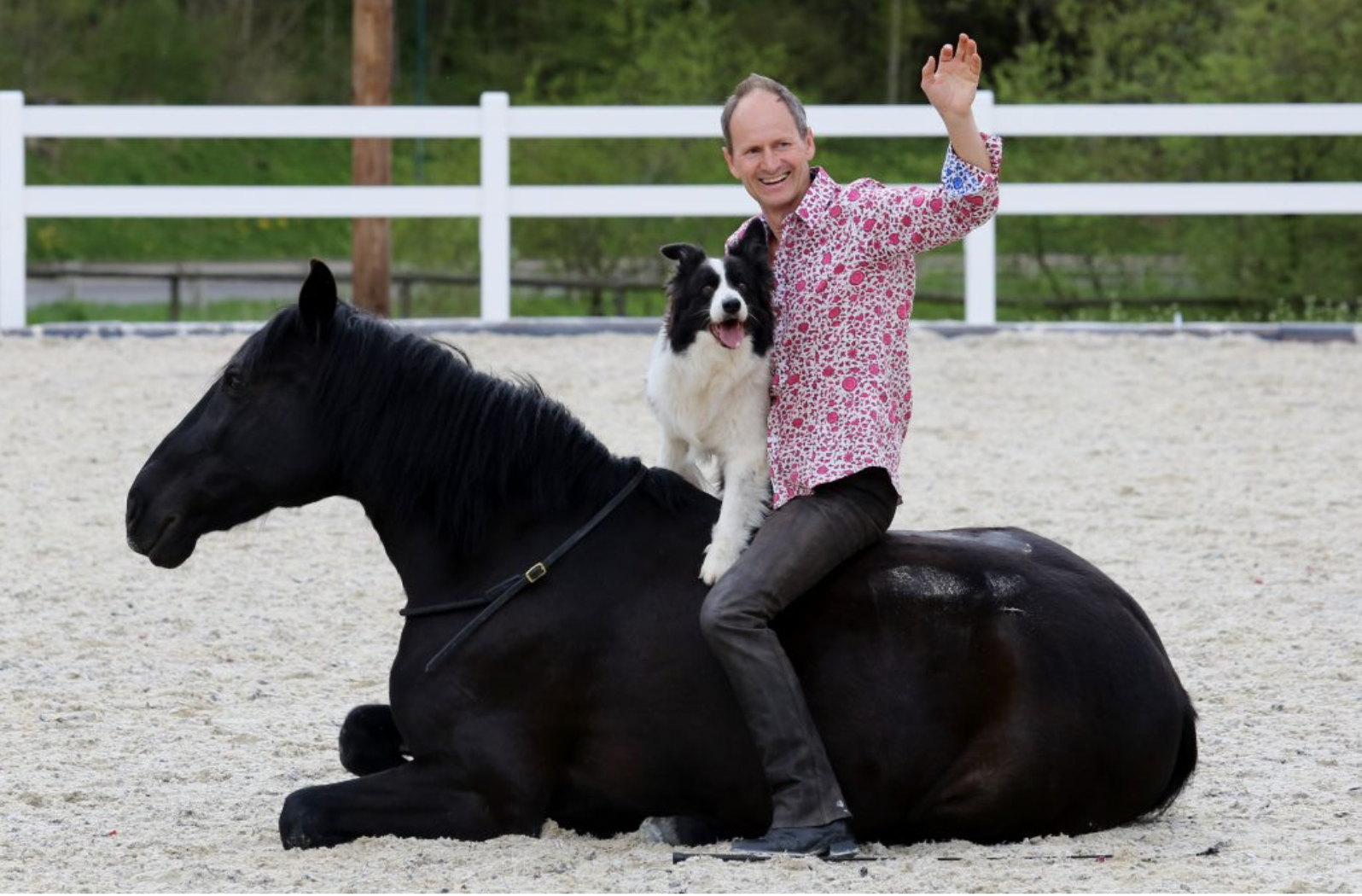 Martin Lassrr - VdTT Referent