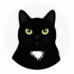 Die Katzencouch – Nicole Rund Die Katzencouch – Nicole Rund