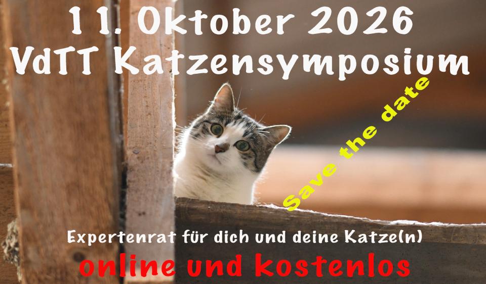 VdTT Katzensymposium 2026