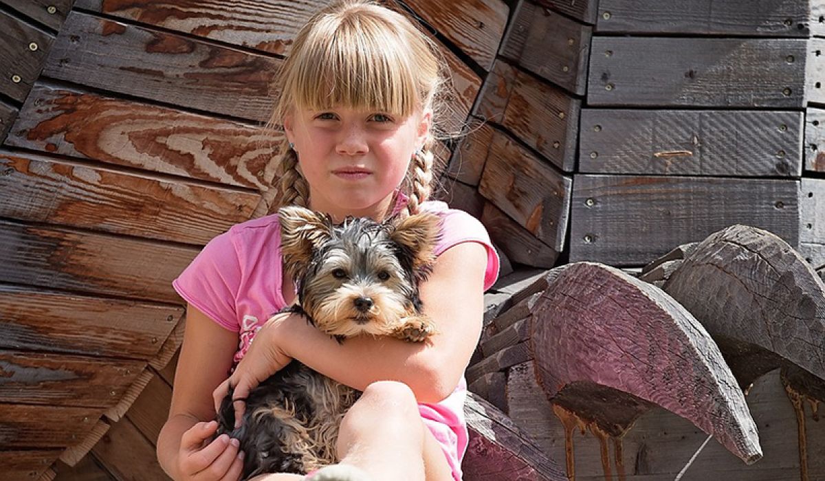 Tiergestützte Intervention mit Hund bei einem Mädchen
