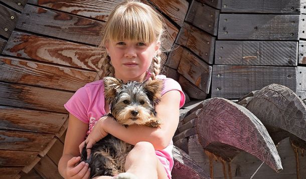 Tiergestützte Intervention mit Hund bei einem Mädchen